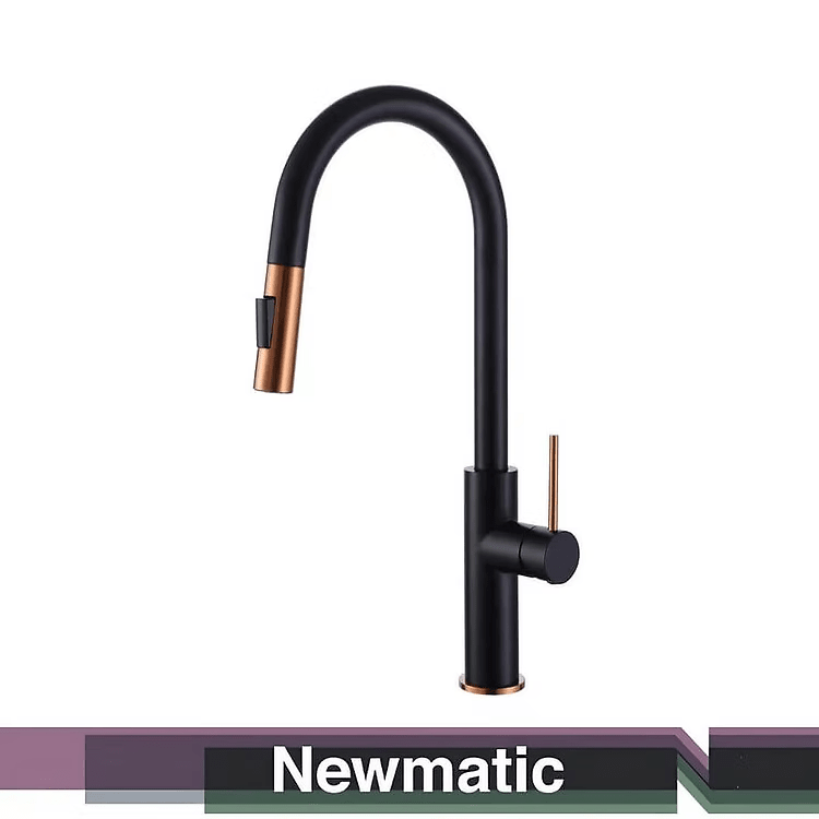T14MF Kitchen Flexi Mixer Tap